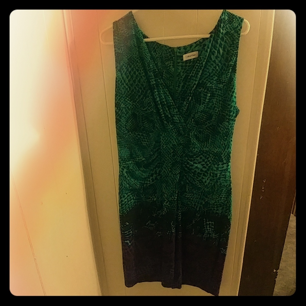 Calvin Klein Sleeveless Green & Purple Dress